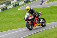 cadwell-no-limits-trackday;cadwell-park;cadwell-park-photographs;cadwell-trackday-photographs;enduro-digital-images;event-digital-images;eventdigitalimages;no-limits-trackdays;peter-wileman-photography;racing-digital-images;trackday-digital-images;trackday-photos